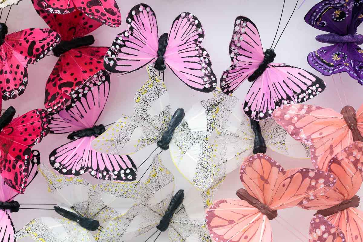 Grey Goose - Original - SOLD by artist Michael Olsen - Wyecliffe Galleries