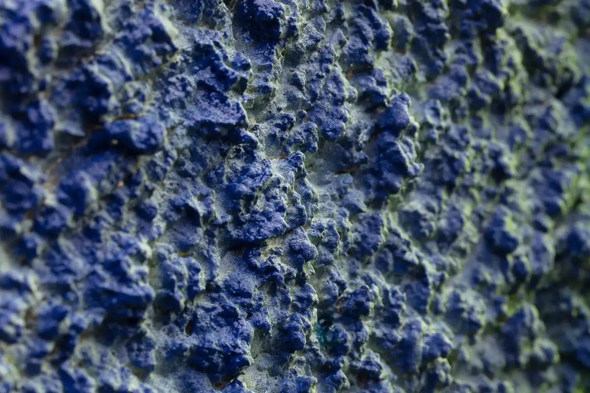 Land And Sea - Original by artist Mitchel Lawton - Wyecliffe Galleries