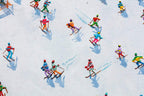 Life Is Better On The Slopes - Original - SOLD by artist Paola Cassais - Wyecliffe Galleries