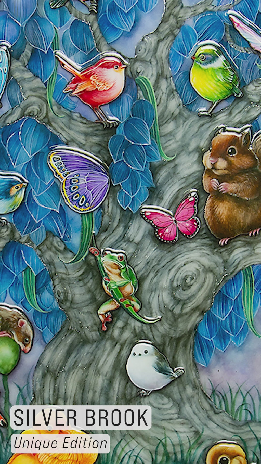 Silver Brook - Edition