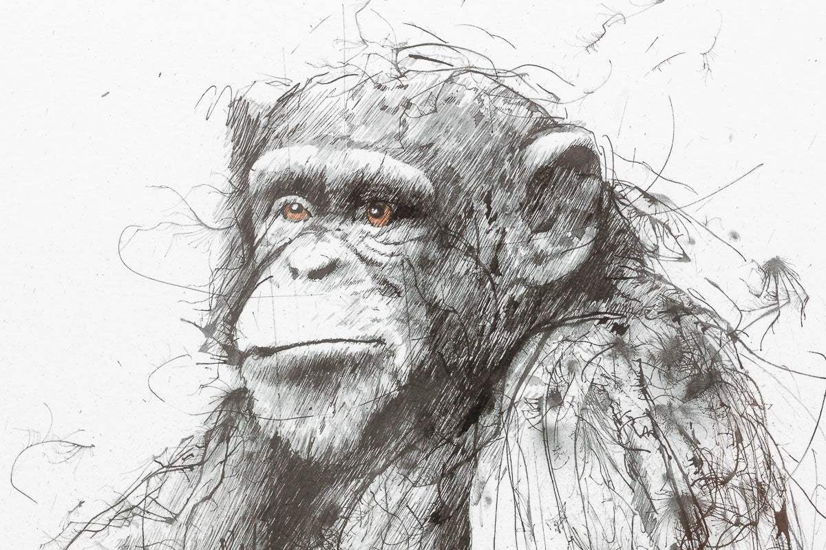 Art Class - Edition by artist Scott Tetlow - Wyecliffe Galleries