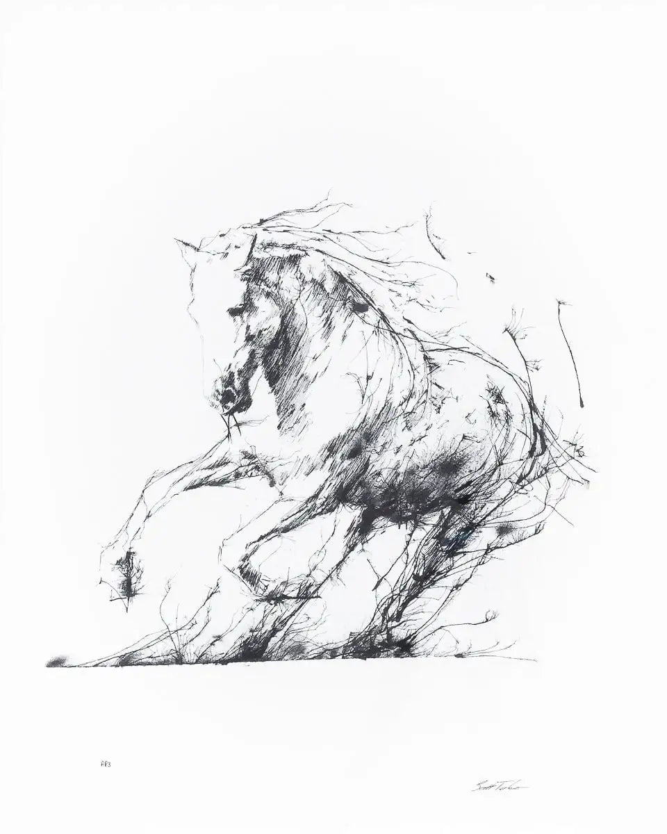 Freedom - Edition by artist Scott Tetlow - Wyecliffe Galleries