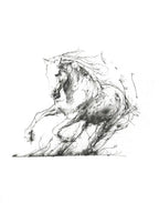 Freedom - Edition by artist Scott Tetlow - Wyecliffe Galleries