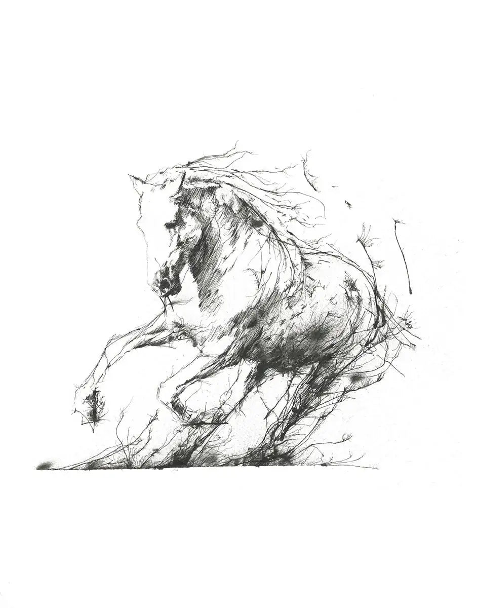 Freedom - Edition by artist Scott Tetlow - Wyecliffe Galleries