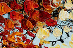 Autumn Days - Original - SOLD by artist Simon Wright - Wyecliffe Galleries