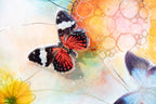To A Butterfly - Original