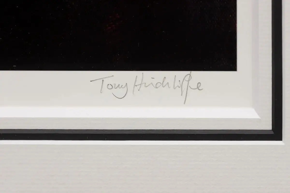 Aubergine Nights - Paper Edition - SOLD by artist Tony Hinchliffe - Wyecliffe Galleries