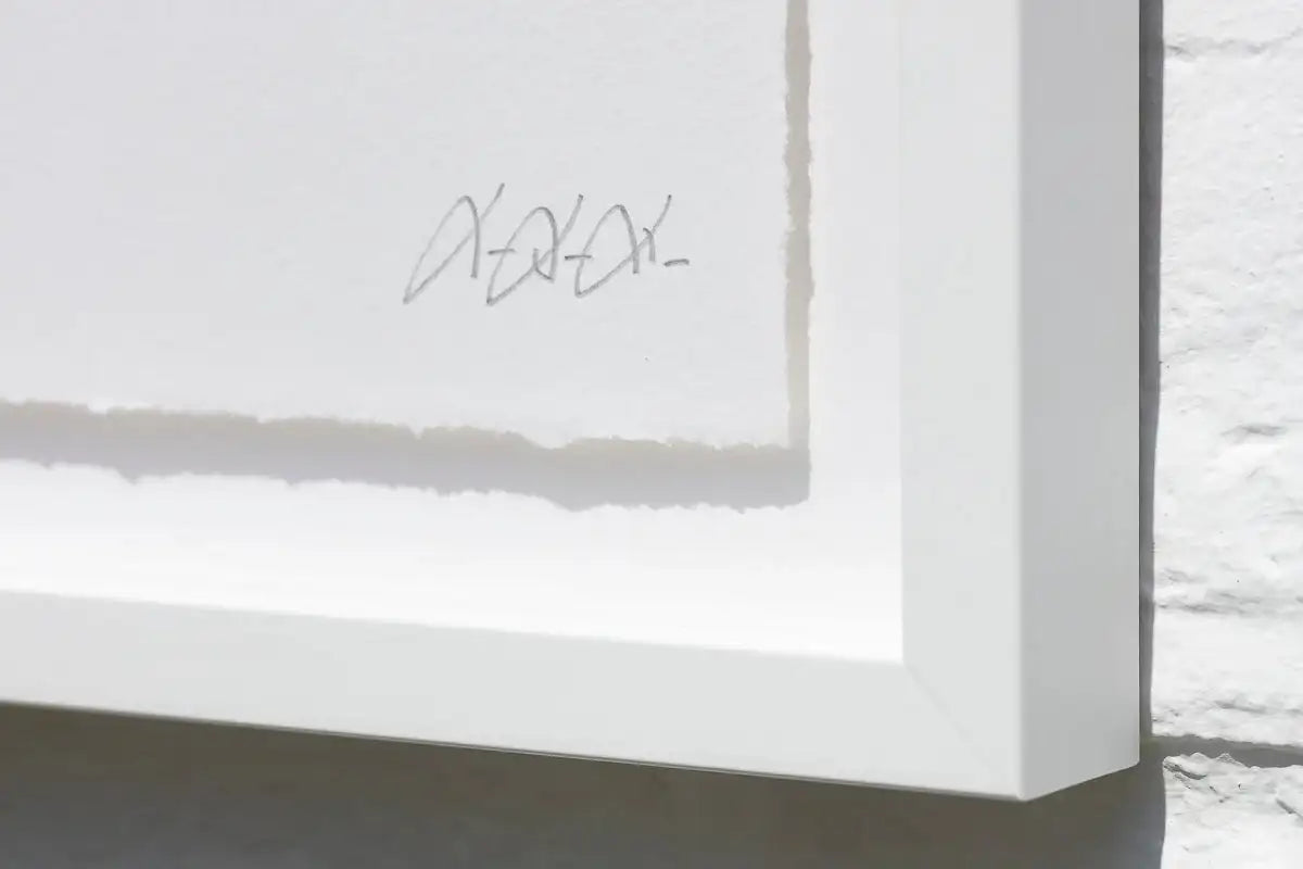 Fuckwit - Edition by artist Totally Justified Hypocrisy - Wyecliffe Galleries