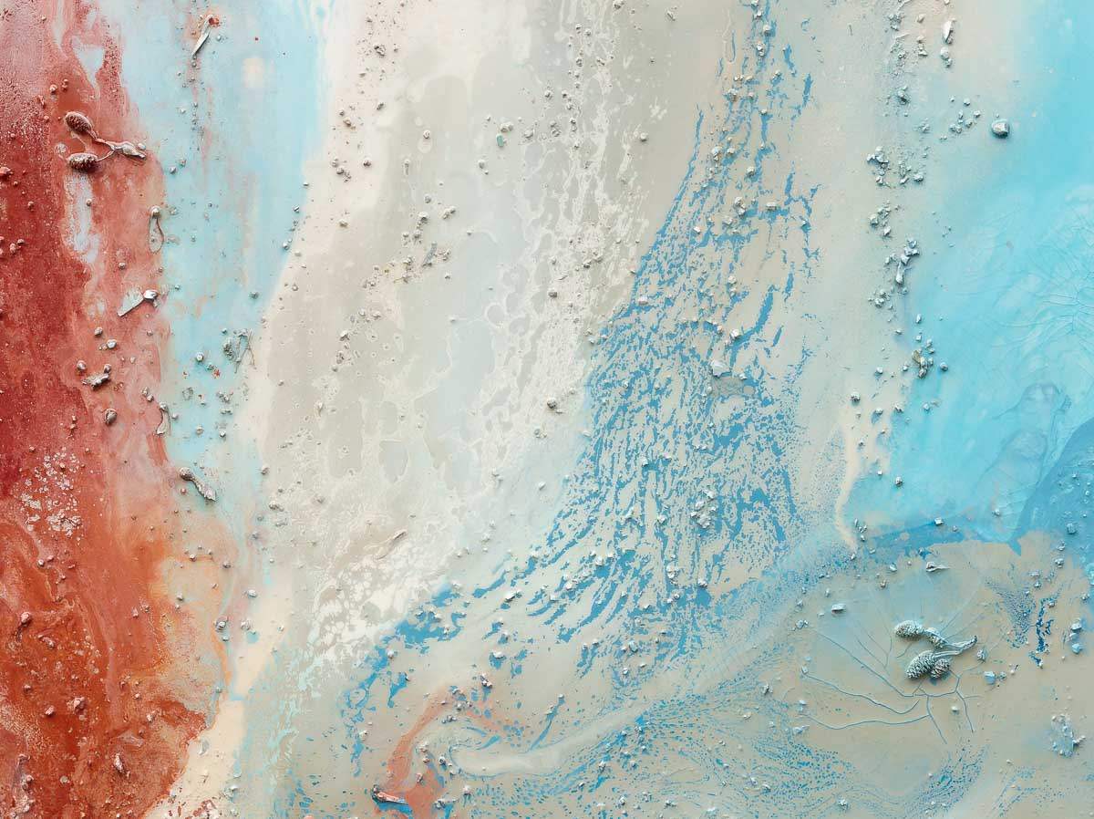 Coral Reef II - Original by artist Wendy Satchwell - Wyecliffe Galleries