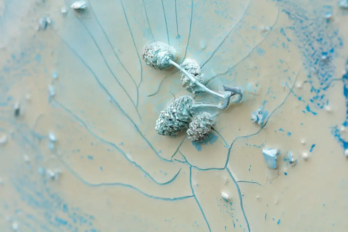 Coral Reef II - Original by artist Wendy Satchwell - Wyecliffe Galleries