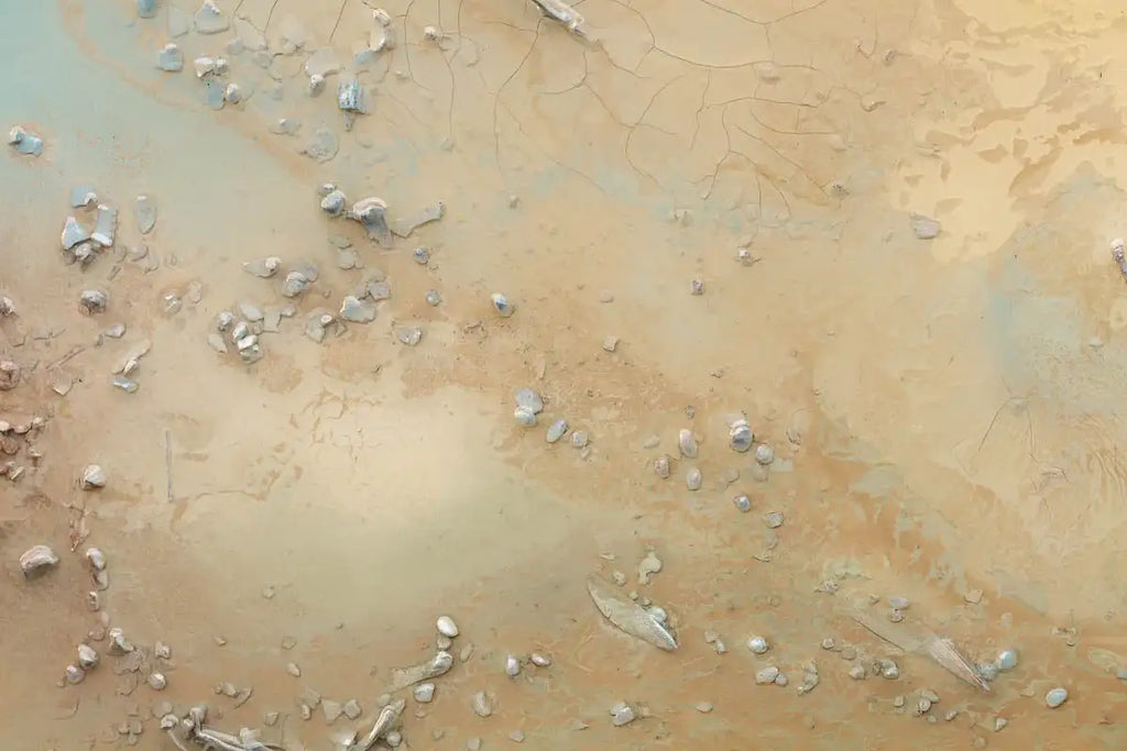 Sandy Beaches II - Original by artist Wendy Satchwell - Wyecliffe Galleries