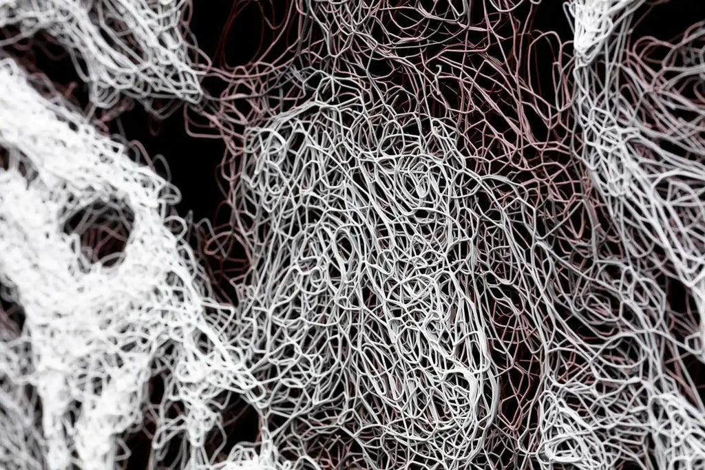 Bites N Cuddles - Original - SOLD by artist Zalini - Wyecliffe Galleries