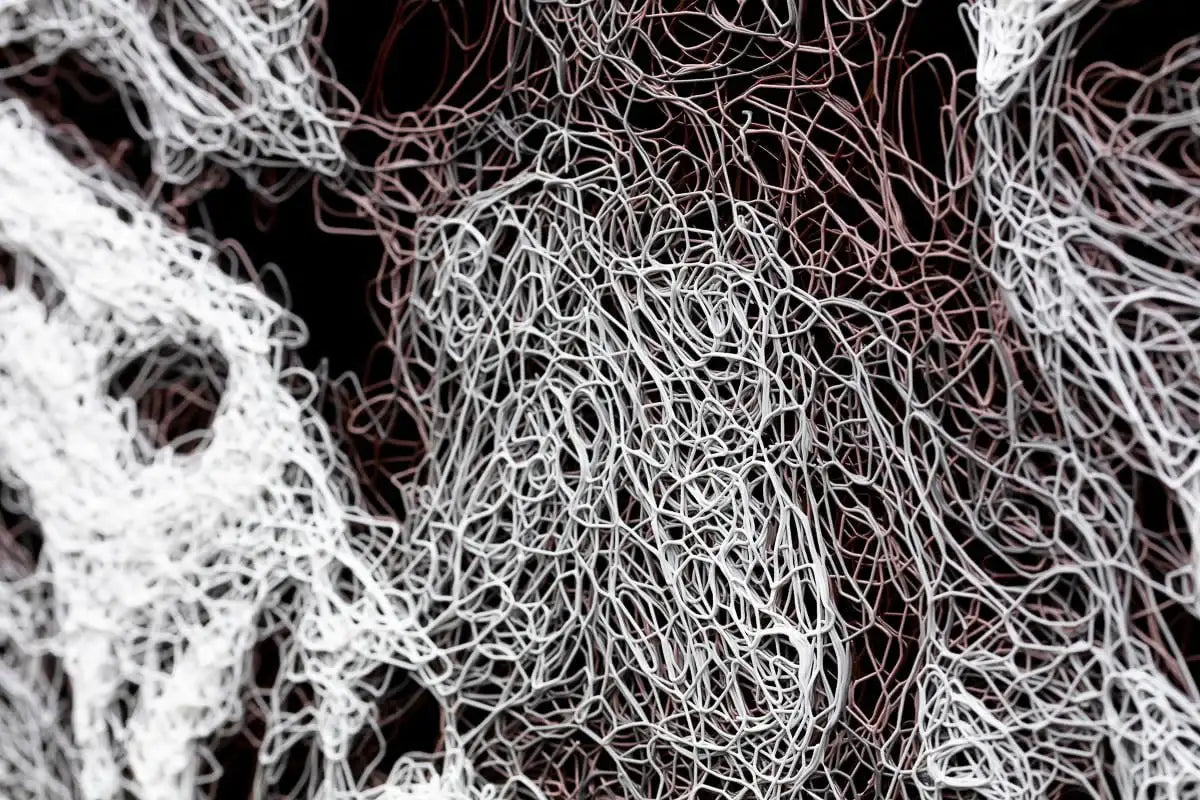 Bites N Cuddles - Original - SOLD by artist Zalini - Wyecliffe Galleries