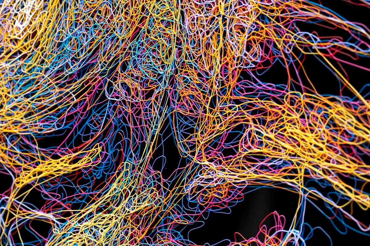 Bright Lights - Original - SOLD by artist Zalini - Wyecliffe Galleries