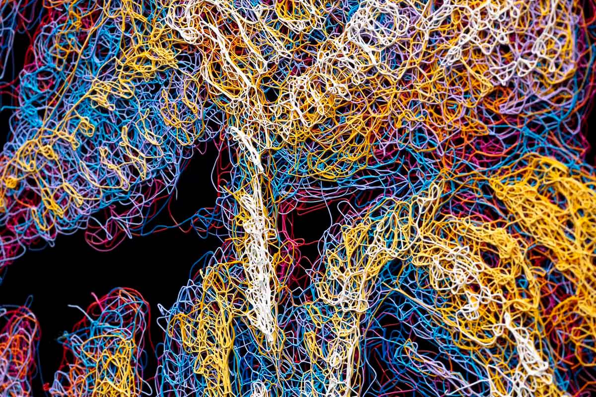 Daisy Moo - Original - SOLD by artist Zalini - Wyecliffe Galleries