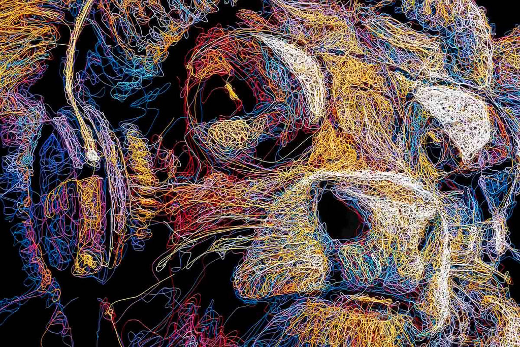 Daisy Moo - Original - SOLD by artist Zalini - Wyecliffe Galleries