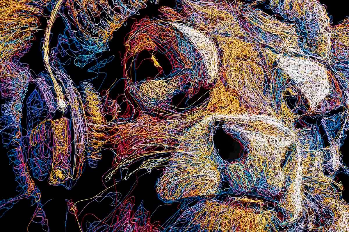 Daisy Moo - Original - SOLD by artist Zalini - Wyecliffe Galleries