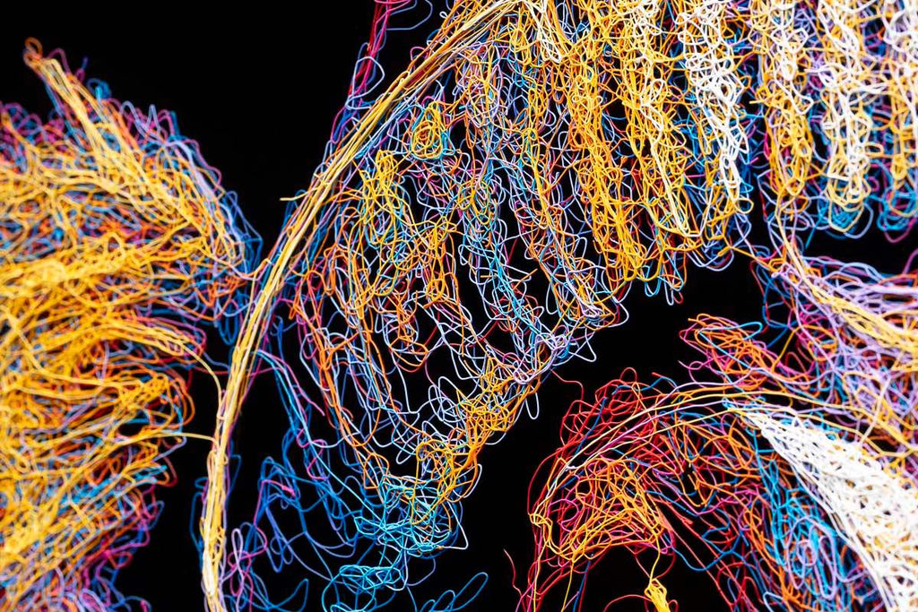 Daisy Moo - Original - SOLD by artist Zalini - Wyecliffe Galleries