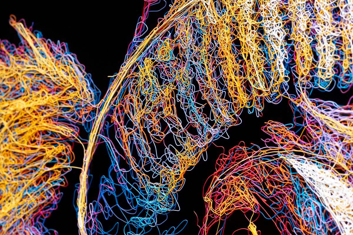 Daisy Moo - Original - SOLD by artist Zalini - Wyecliffe Galleries