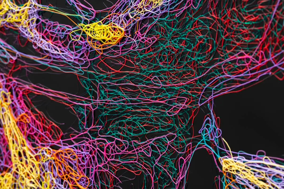 High There - Original - SOLD by artist Zalini - Wyecliffe Galleries