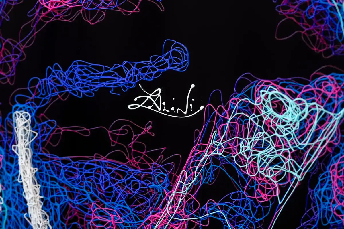 Indi - Original by artist Zalini - Wyecliffe Galleries