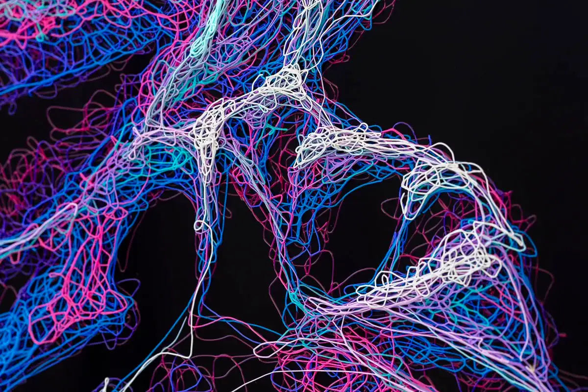 Indi - Original by artist Zalini - Wyecliffe Galleries