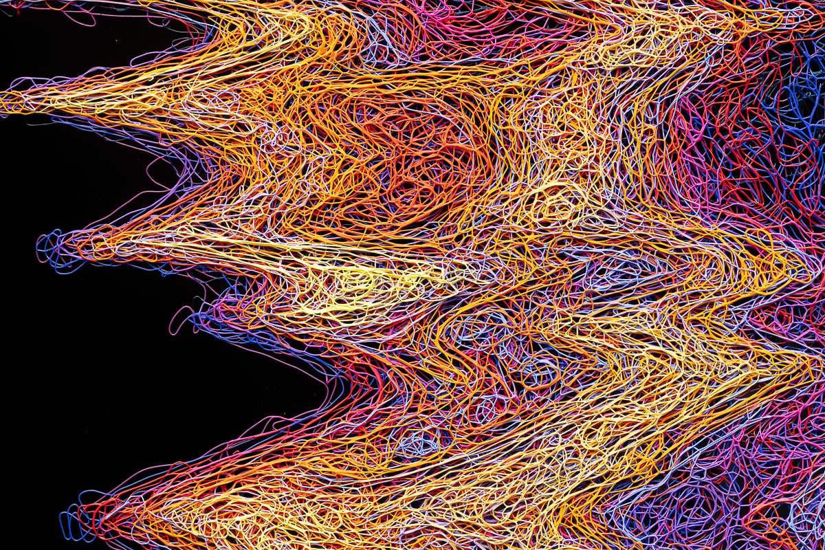 Monkey Sea - Original - SOLD by artist Zalini - Wyecliffe Galleries