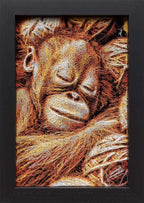 Tangletan - Original by artist Zalini - Wyecliffe Galleries