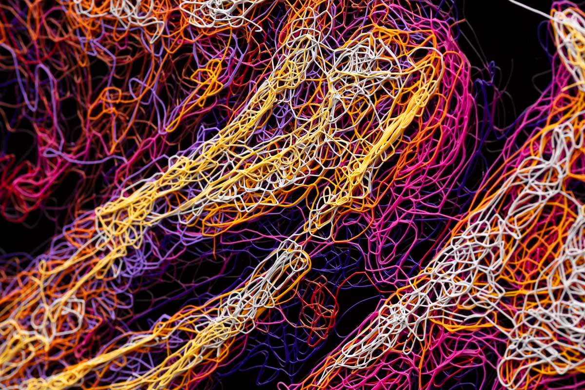 Tucker - Original by artist Zalini - Wyecliffe Galleries