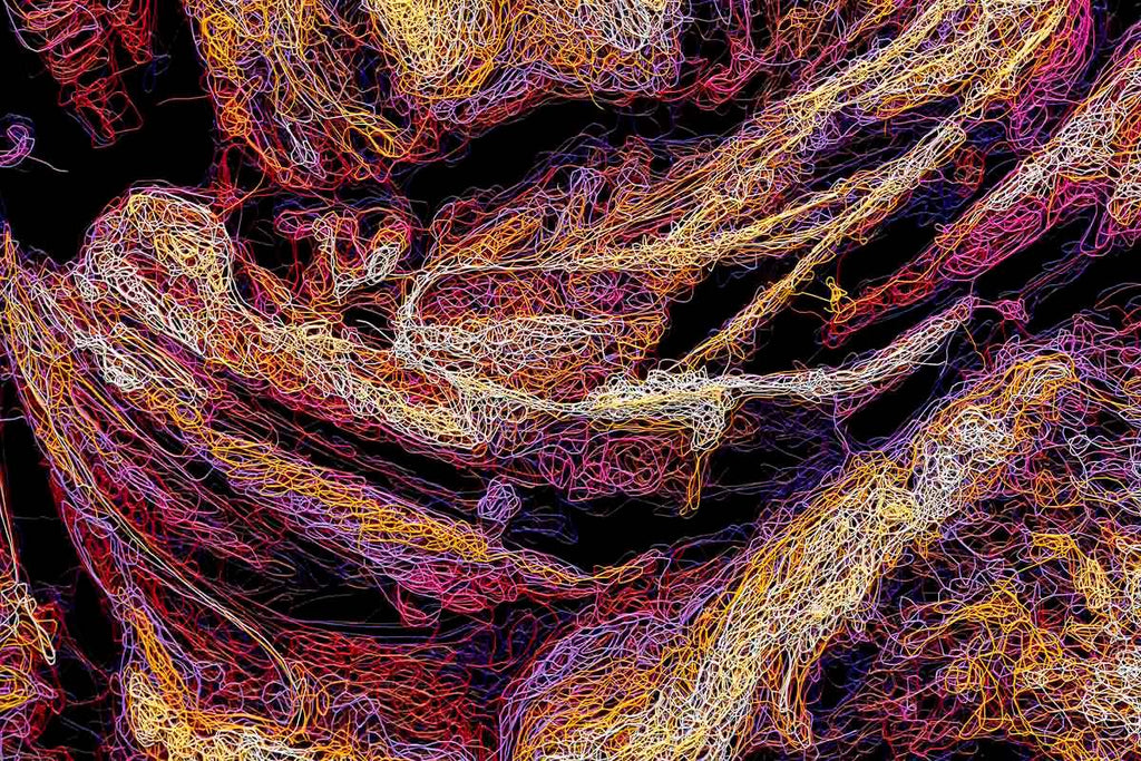 Tucker - Original by artist Zalini - Wyecliffe Galleries