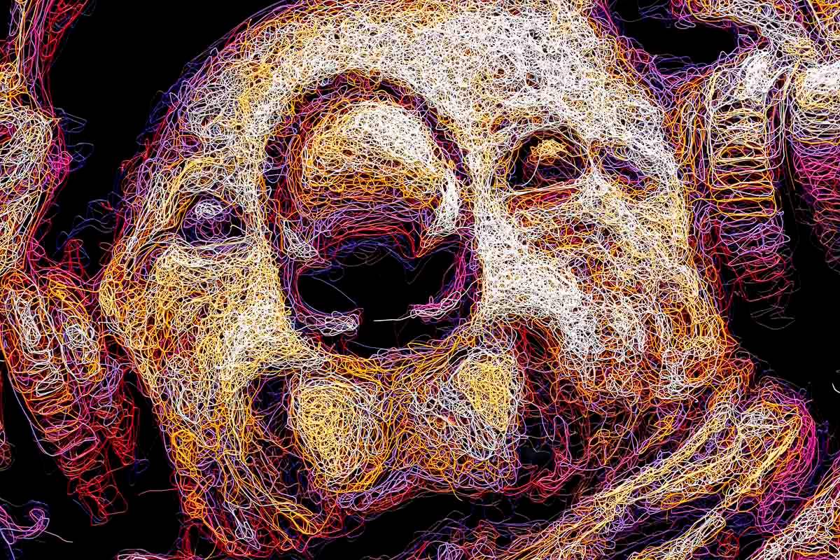 Tucker - Original by artist Zalini - Wyecliffe Galleries