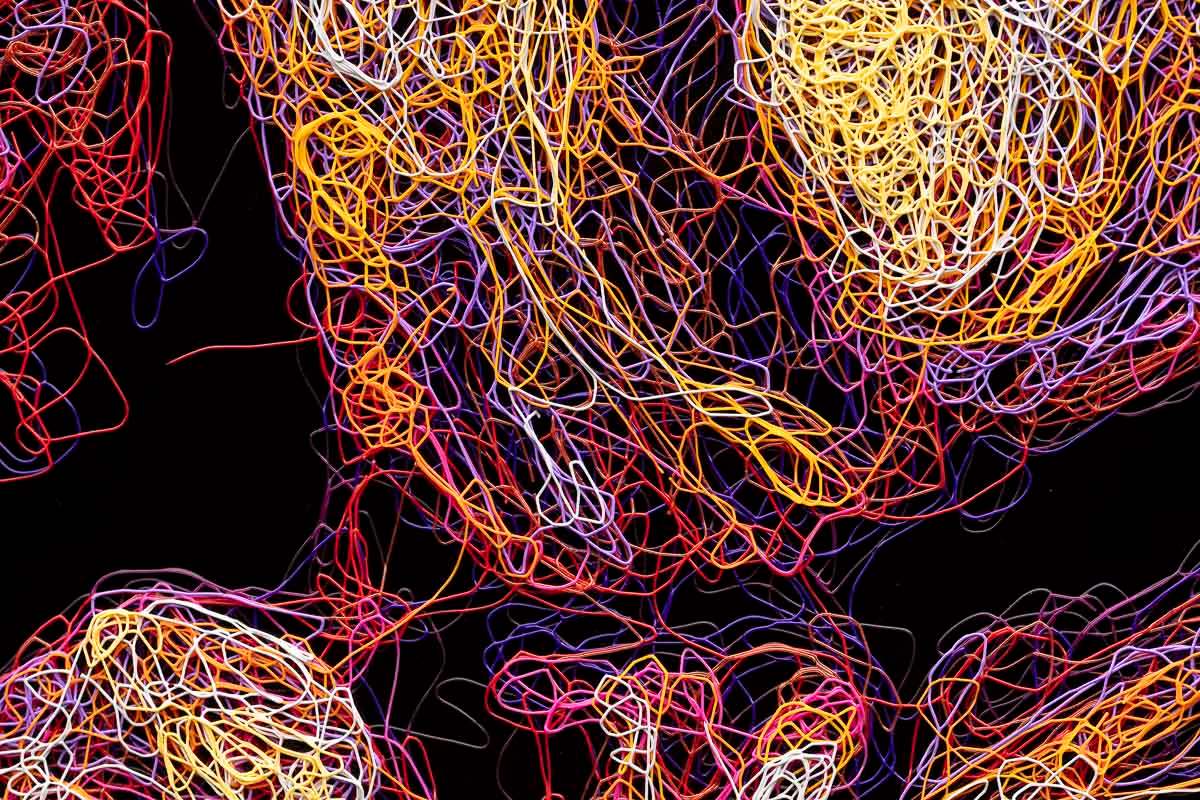 Tucker - Original by artist Zalini - Wyecliffe Galleries