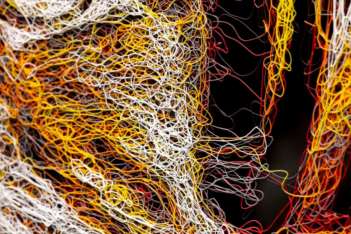 Tuna - Ahmen - Original - SOLD by artist Zalini - Wyecliffe Galleries