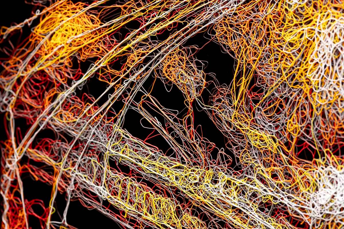 Tuna - Ahmen - Original - SOLD by artist Zalini - Wyecliffe Galleries