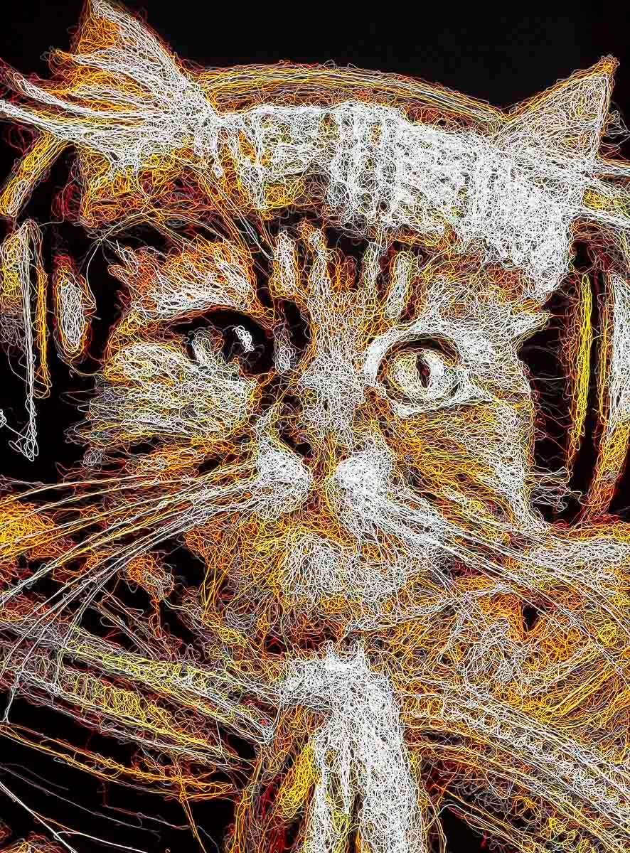 Tuna - Ahmen - Original - SOLD by artist Zalini - Wyecliffe Galleries