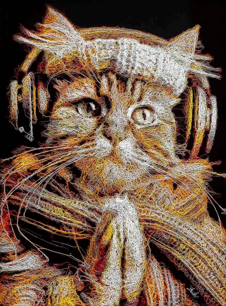 Tuna - Ahmen - Original - SOLD by artist Zalini - Wyecliffe Galleries