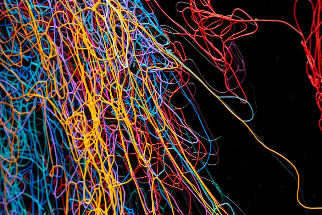 What The! - Original - SOLD by artist Zalini - Wyecliffe Galleries