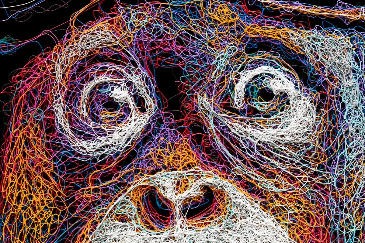 What The! - Original - SOLD by artist Zalini - Wyecliffe Galleries