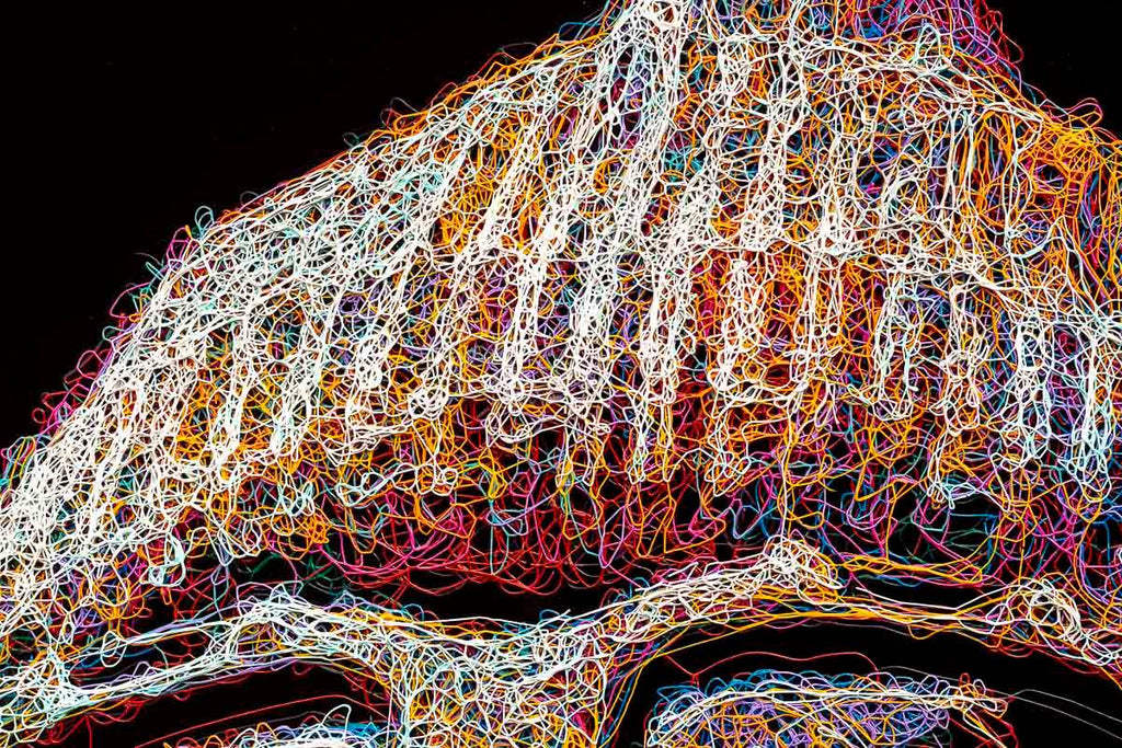 Woah - Original - SOLD by artist Zalini - Wyecliffe Galleries