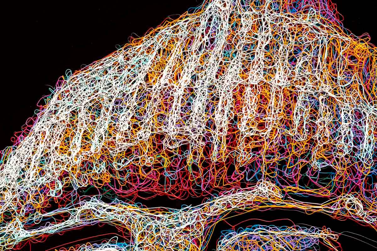 Woah - Original - SOLD by artist Zalini - Wyecliffe Galleries