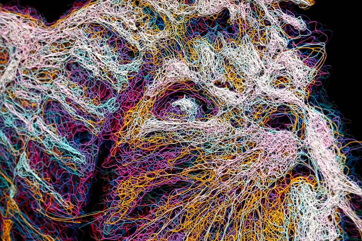 Wonder - Original by artist Zalini - Wyecliffe Galleries