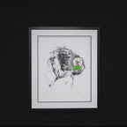 Jungle Dreams - Edition