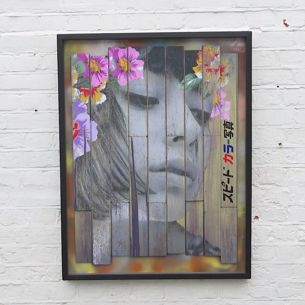 Wallflower - Edition