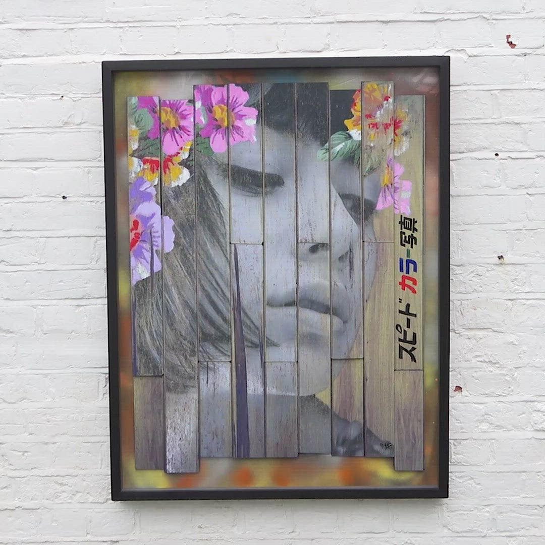 Wallflower - Edition