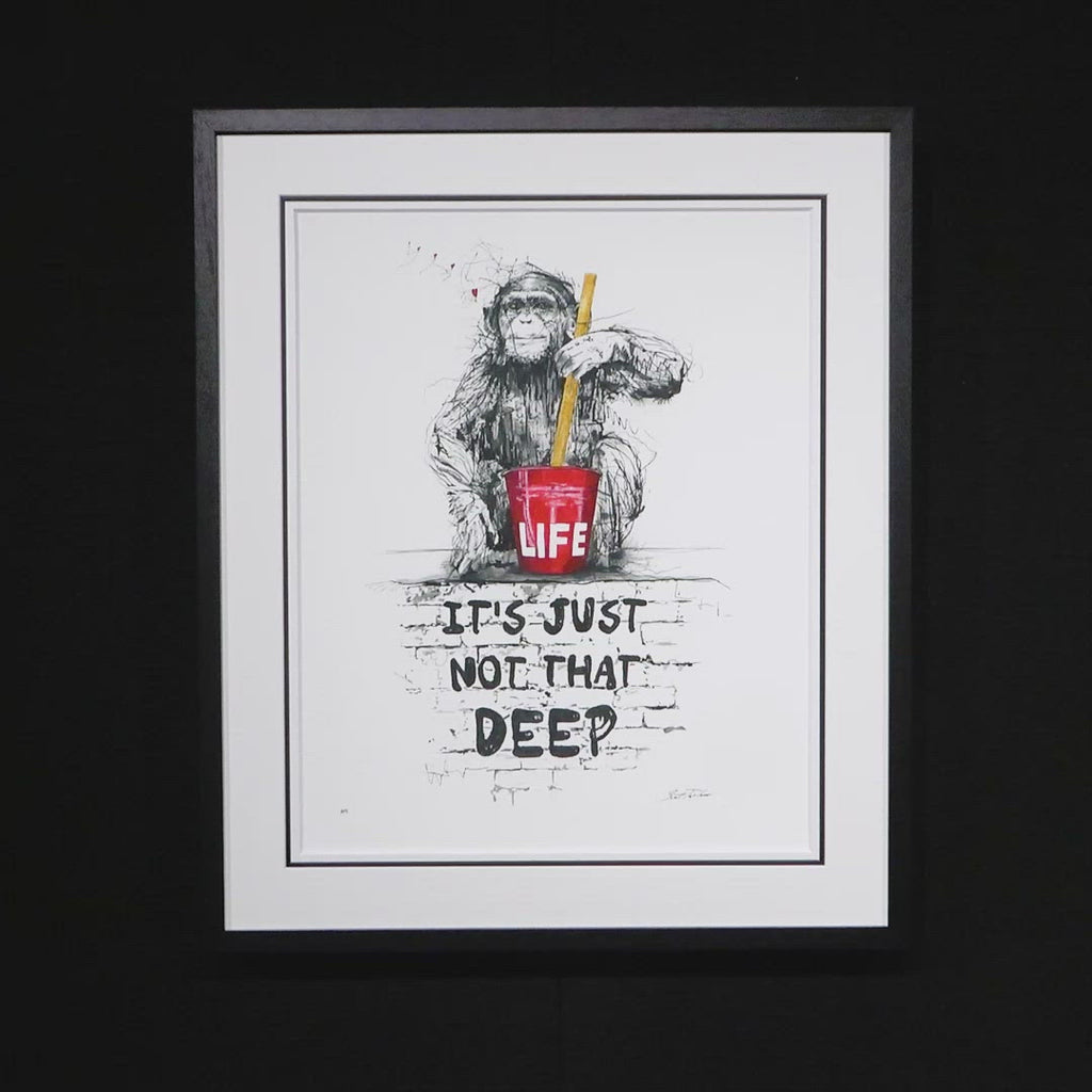 Life, It's Just Not That Deep - Edition