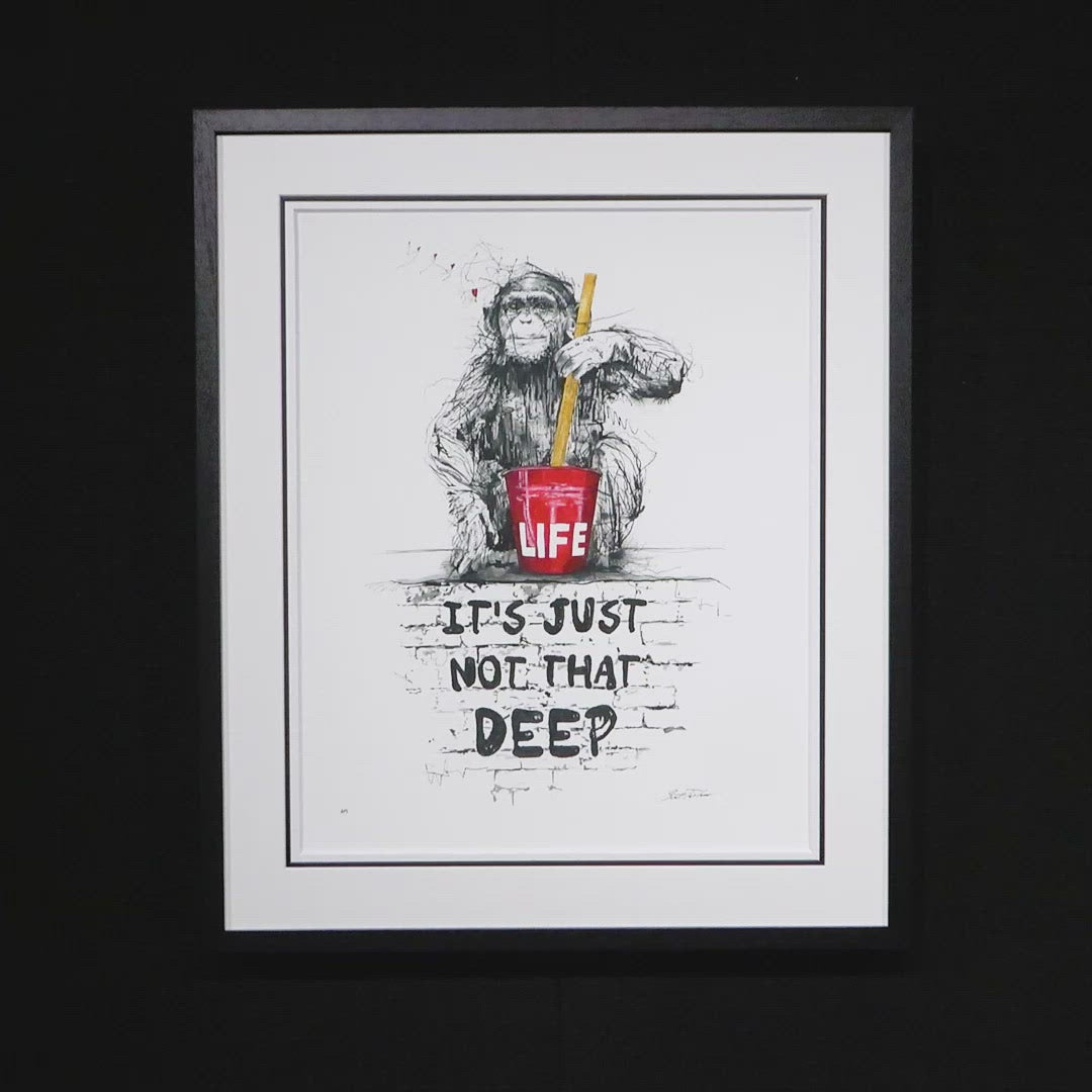 Life, It's Just Not That Deep - Edition