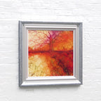 Spirits of Nature - Edition