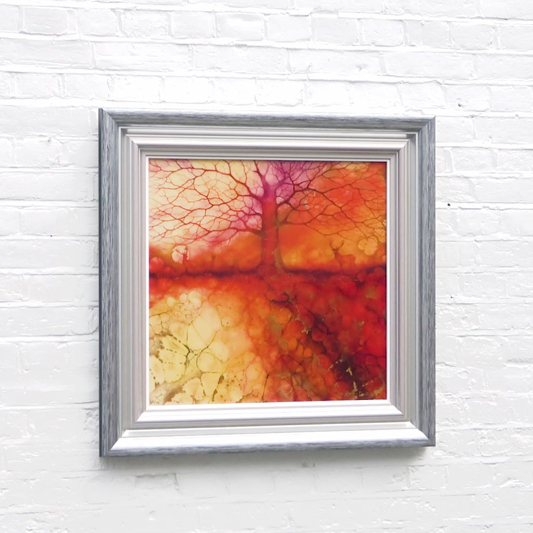 Spirits of Nature - Edition