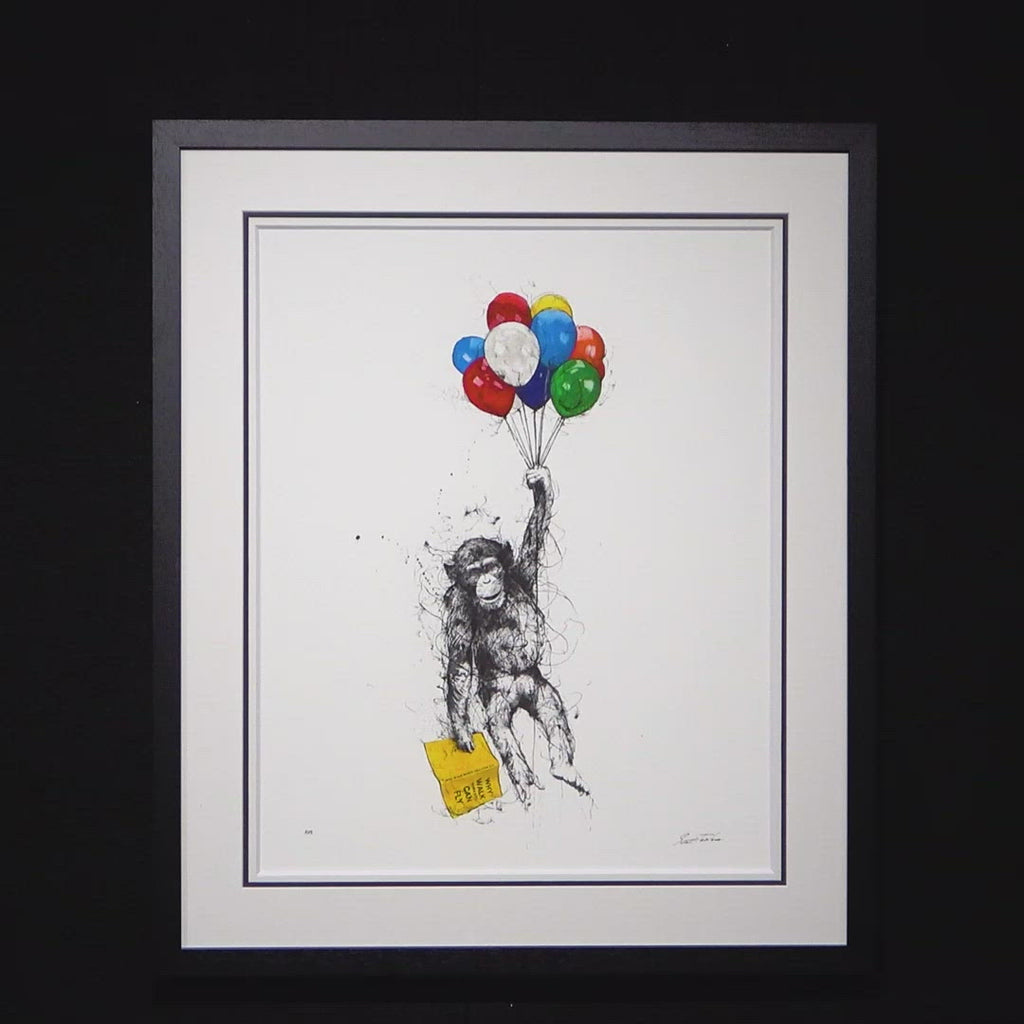 Why Walk When You Can Fly - Edition