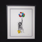 Why Walk When You Can Fly - Edition